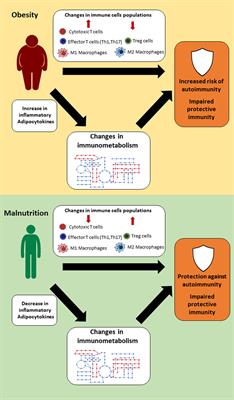 Changes in Nutritional Status Impact Immune Cell Metabolism and Function